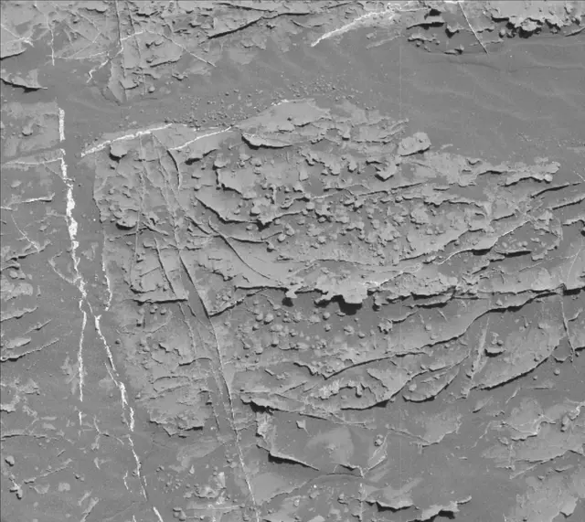 Sol 1805: Mast Camera (Mastcam)