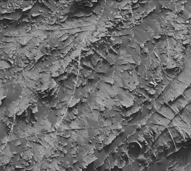 Sol 1805: Mast Camera (Mastcam)