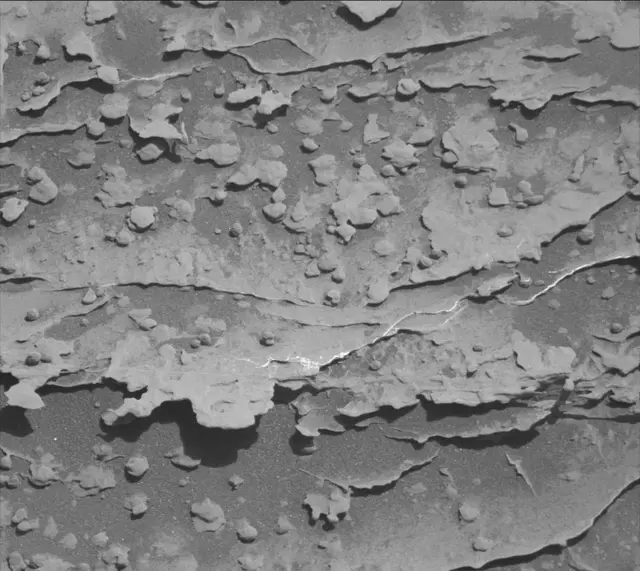 Sol 1805: Mast Camera (Mastcam)