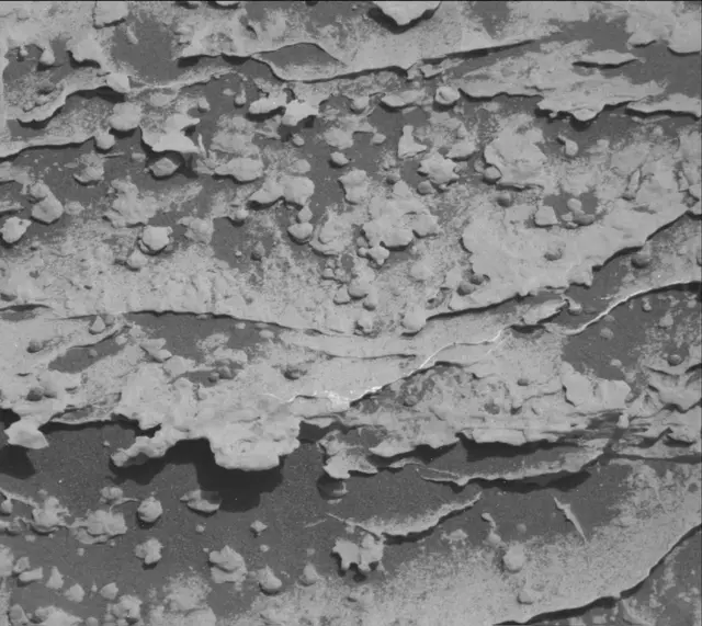 Sol 1805: Mast Camera (Mastcam)