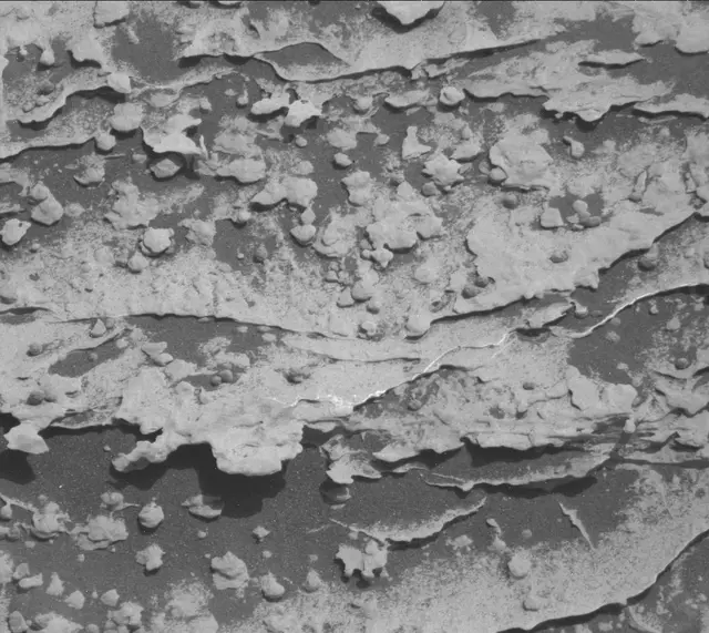 Sol 1805: Mast Camera (Mastcam)