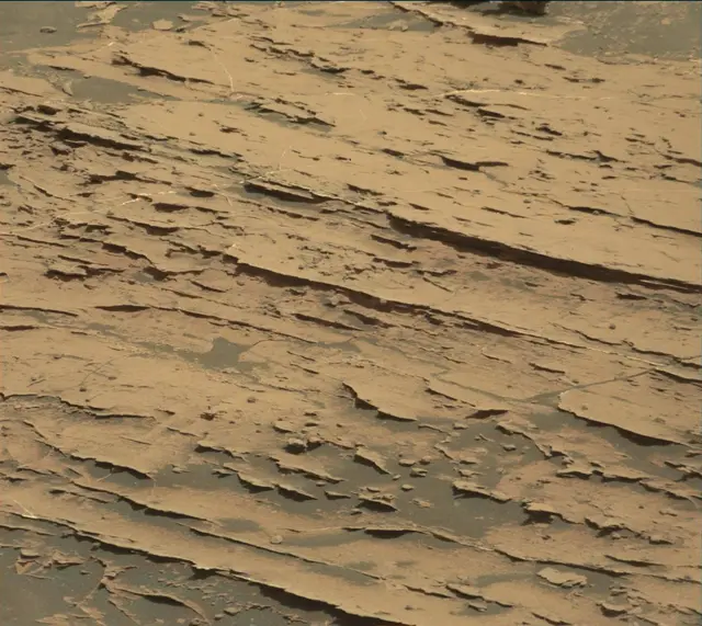 Sol 1805: Mast Camera (Mastcam)