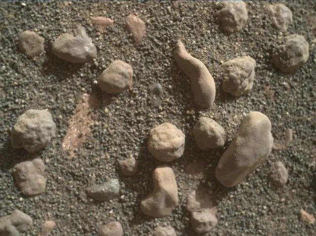 Sol 1806: Mars Hand Lens Imager (MAHLI)