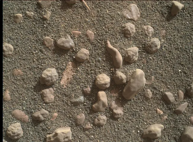Sol 1806: Mars Hand Lens Imager (MAHLI)