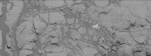 Sol 1812: Mast Camera (Mastcam)
