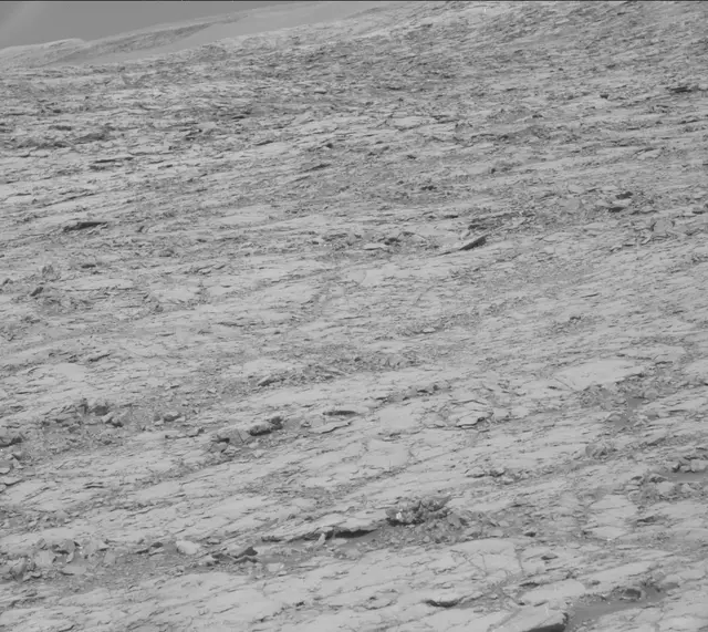 Sol 1814: Mast Camera (Mastcam)