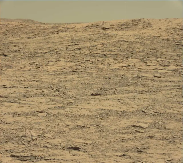 Sol 1814: Mast Camera (Mastcam)