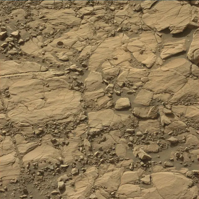Sol 1814: Mast Camera (Mastcam)