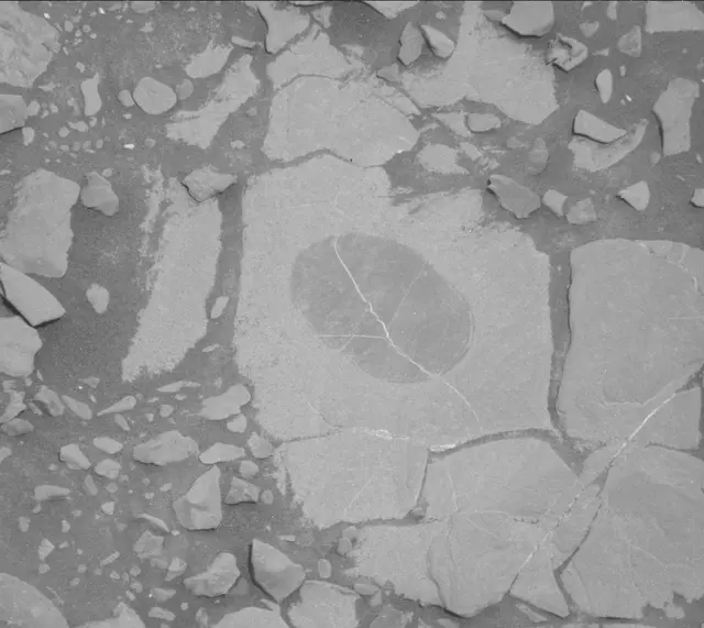 Sol 1819: Mast Camera (Mastcam)