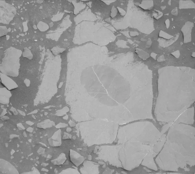Sol 1819: Mast Camera (Mastcam)