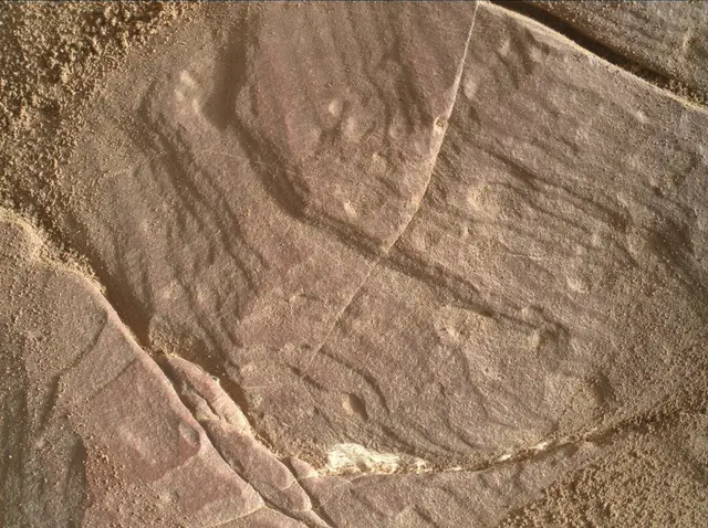 Sol 1819: Mars Hand Lens Imager (MAHLI)