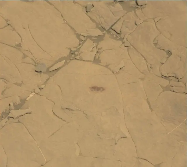 Sol 1821: Mast Camera (Mastcam)