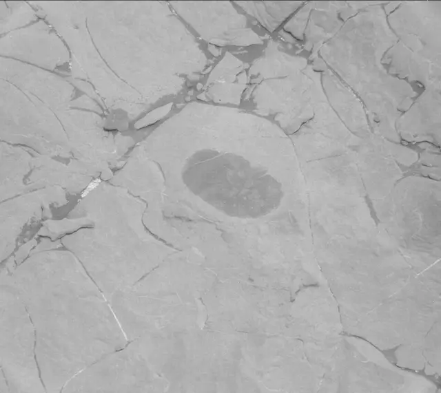 Sol 1822: Mast Camera (Mastcam)