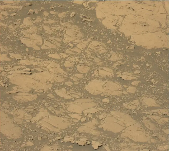 Sol 1830: Mast Camera (Mastcam)