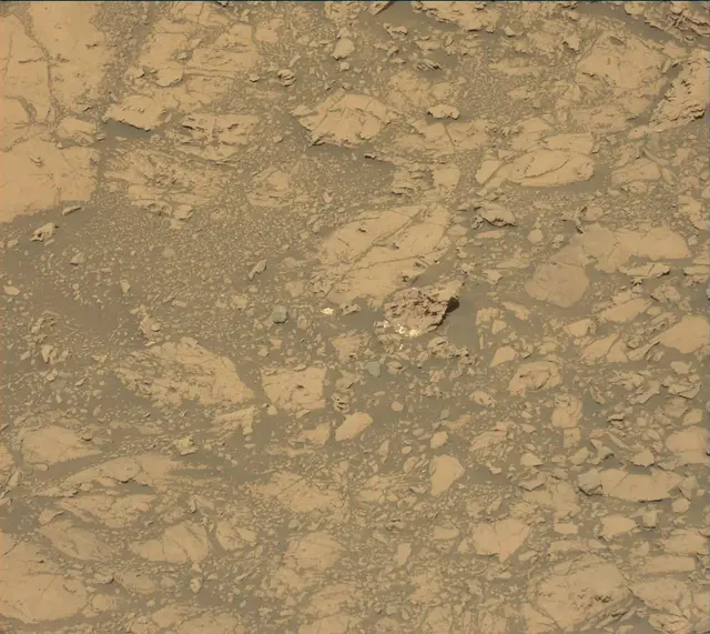Sol 1830: Mast Camera (Mastcam)