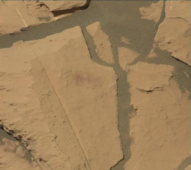 Sol 1830: Mast Camera (Mastcam)