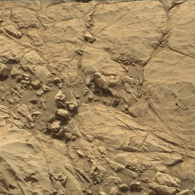 Sol 1834: Mast Camera (Mastcam)