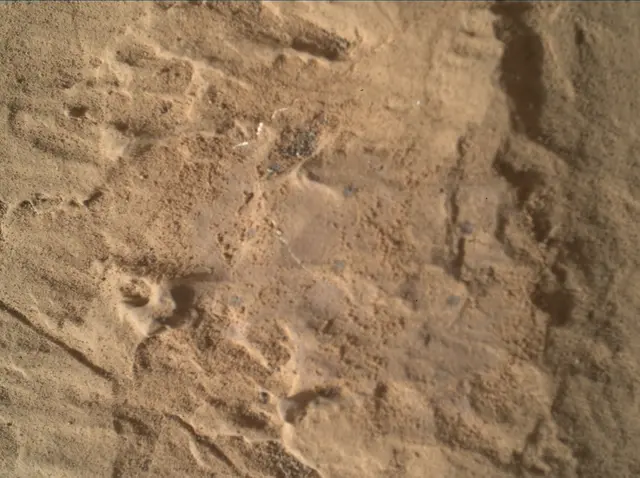 Sol 1838: Mars Hand Lens Imager (MAHLI)
