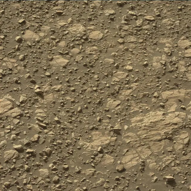 Sol 1848: Mast Camera (Mastcam)