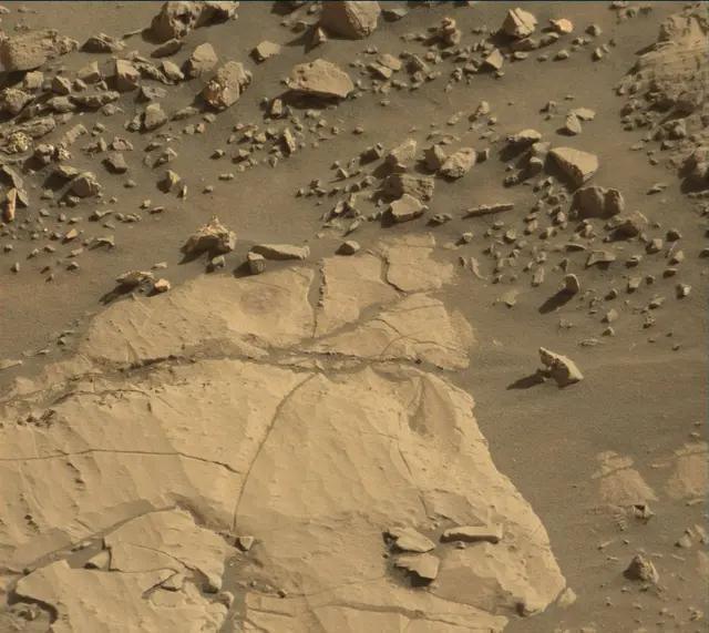 Sol 1848: Mast Camera (Mastcam)