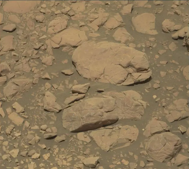 Sol 1850: Mast Camera (Mastcam)