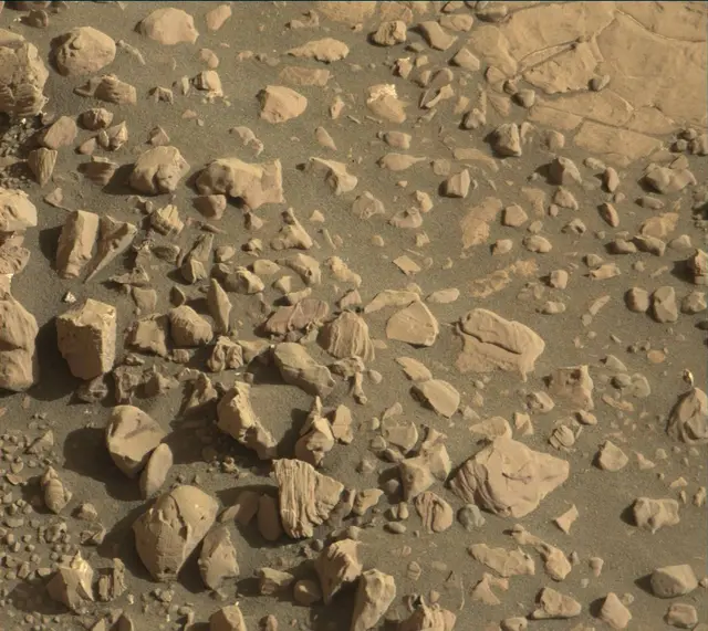 Sol 1856: Mast Camera (Mastcam)
