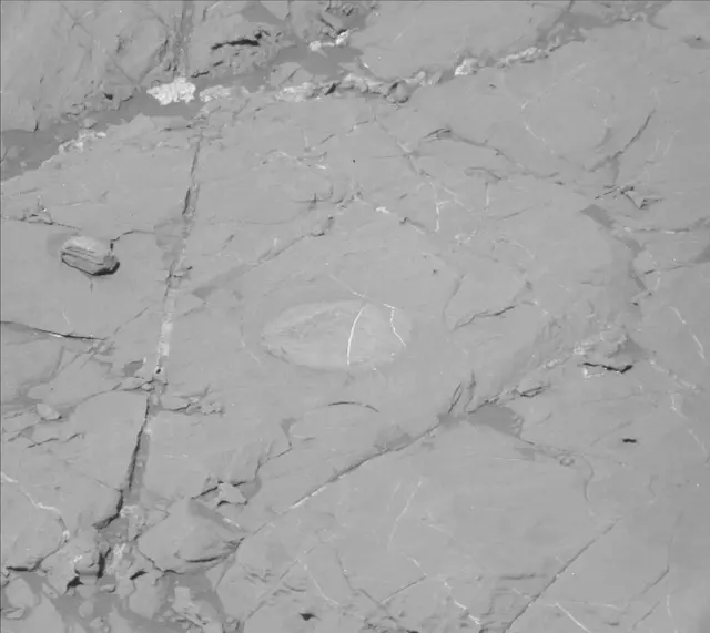 Sol 1864: Mast Camera (Mastcam)
