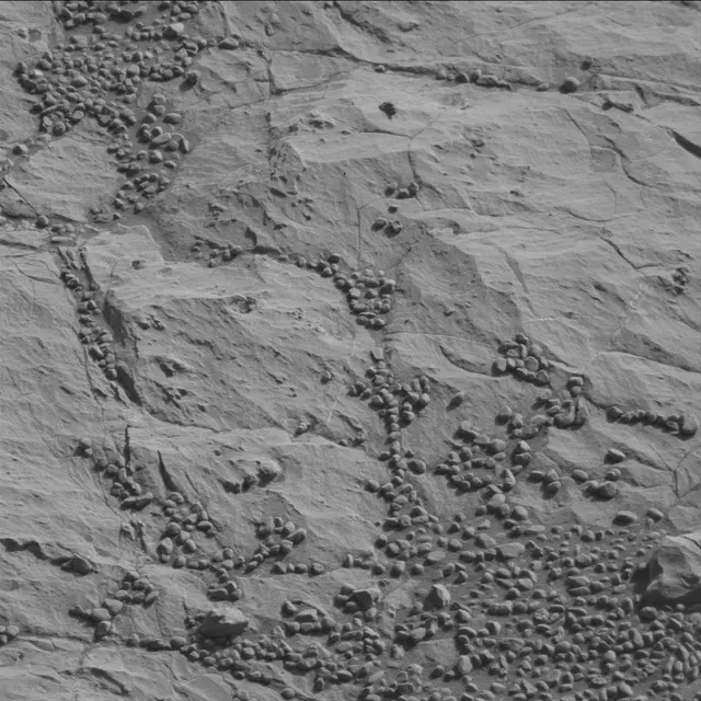Sol 1866: Mast Camera (Mastcam)