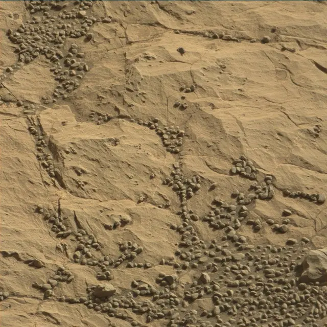 Sol 1866: Mast Camera (Mastcam)