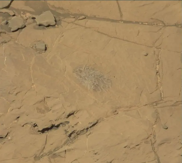 Sol 1871: Mast Camera (Mastcam)