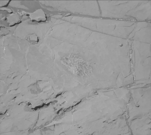 Sol 1871: Mast Camera (Mastcam)
