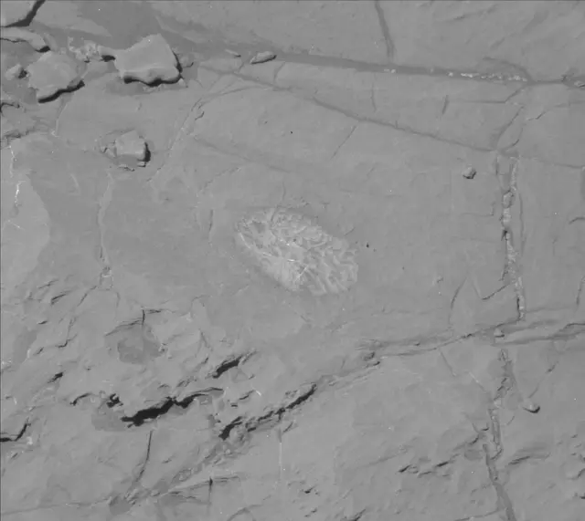 Sol 1871: Mast Camera (Mastcam)