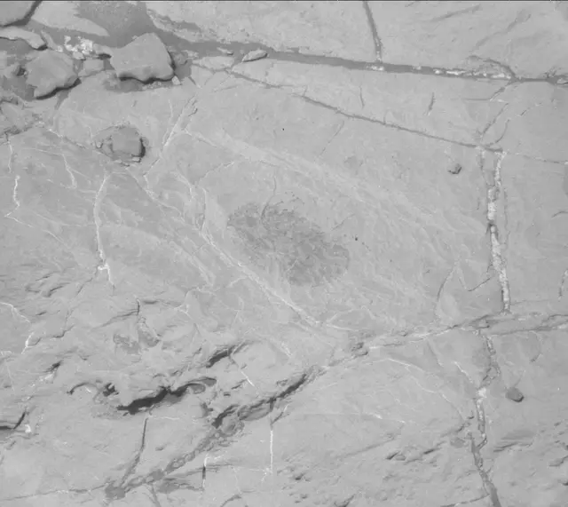 Sol 1871: Mast Camera (Mastcam)