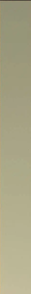 Sol 1878: Mast Camera (Mastcam)