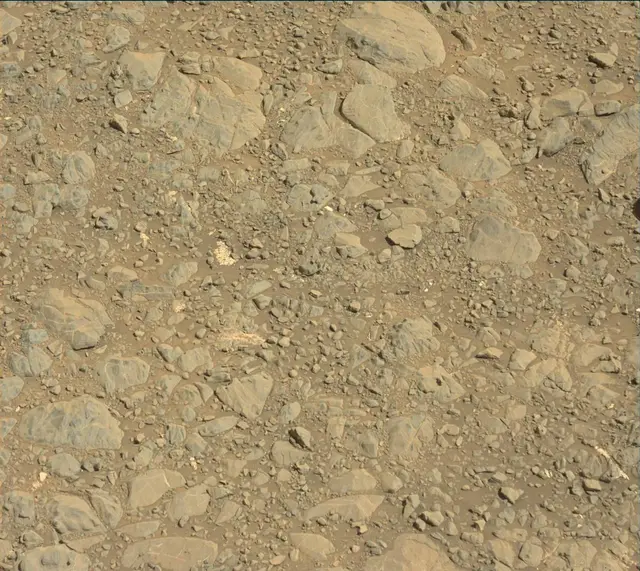 Sol 1891: Mast Camera (Mastcam)
