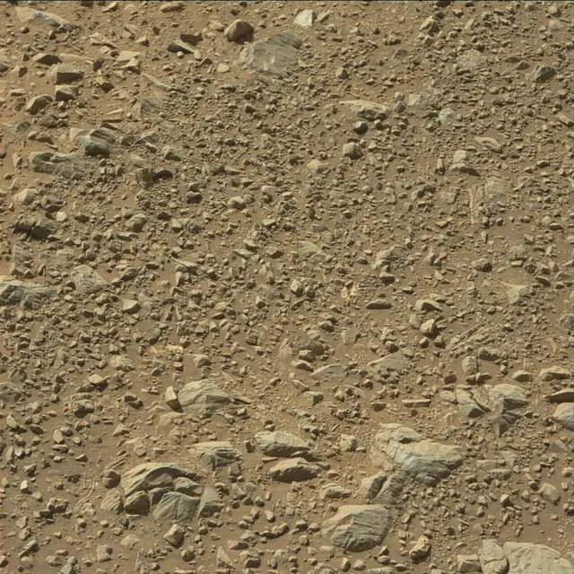 Sol 1891: Mast Camera (Mastcam)