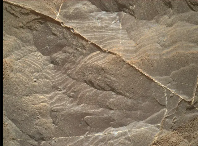 Sol 1892: Mars Hand Lens Imager (MAHLI)