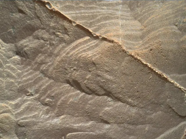 Sol 1892: Mars Hand Lens Imager (MAHLI)