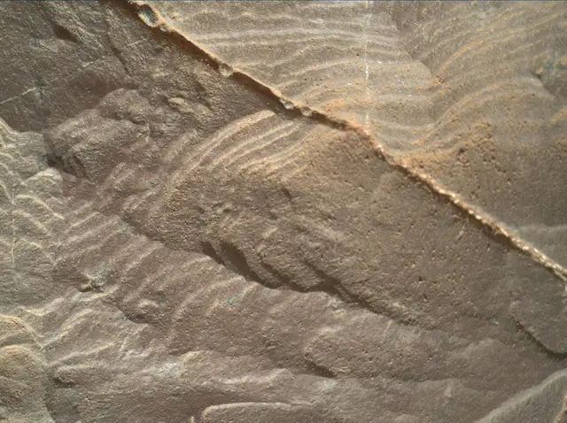 Sol 1892: Mars Hand Lens Imager (MAHLI)