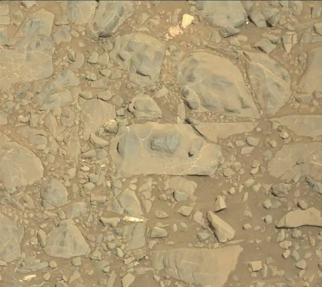 Sol 1893: Mast Camera (Mastcam)