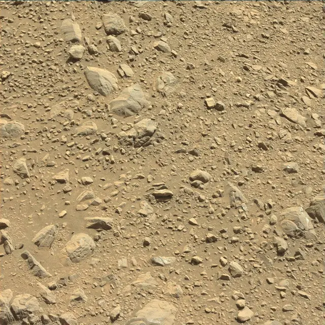 Sol 1894: Mast Camera (Mastcam)