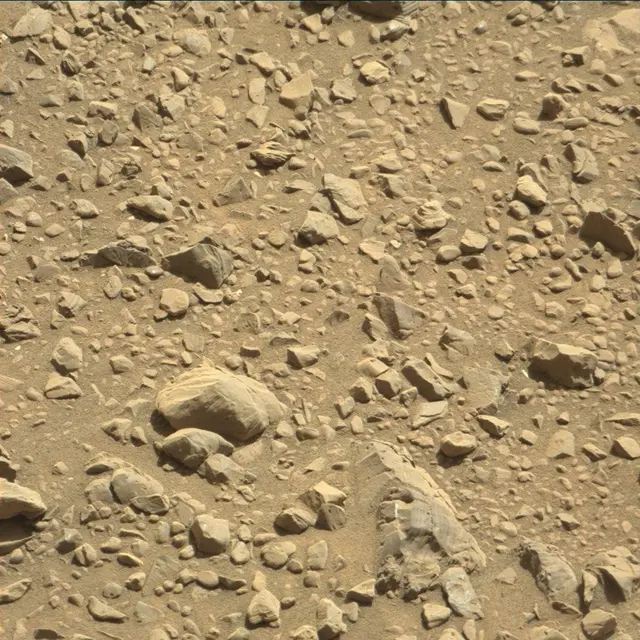 Sol 1894: Mast Camera (Mastcam)