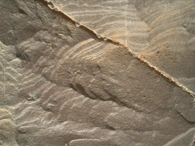 Sol 1894: Mars Hand Lens Imager (MAHLI)