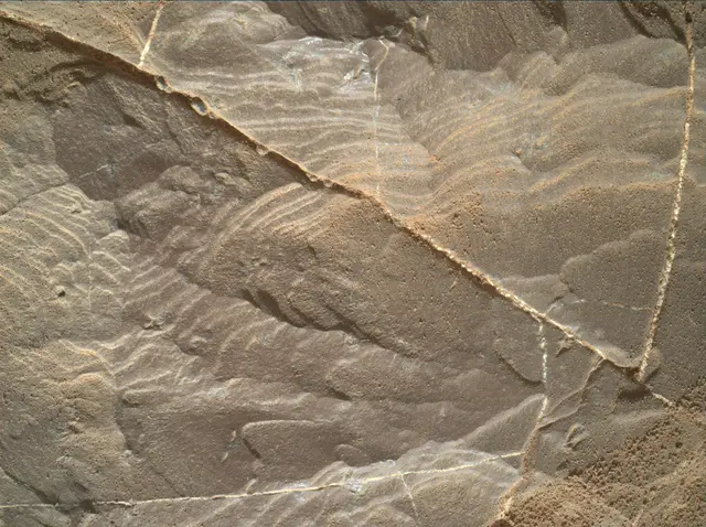 Sol 1894: Mars Hand Lens Imager (MAHLI)
