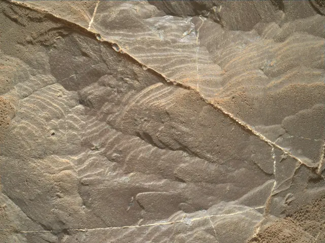 Sol 1894: Mars Hand Lens Imager (MAHLI)