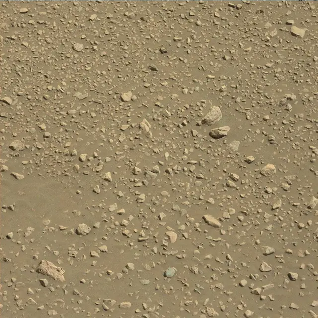 Sol 1896: Mast Camera (Mastcam)