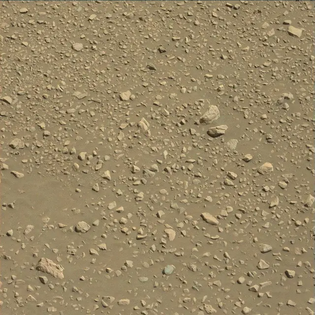 Sol 1896: Mast Camera (Mastcam)