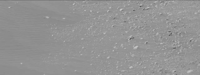 Sol 1898: Mast Camera (Mastcam)