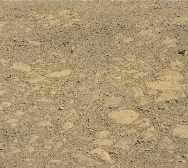 Sol 1899: Mast Camera (Mastcam)
