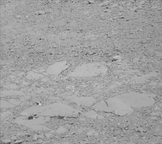 Sol 1899: Mast Camera (Mastcam)
